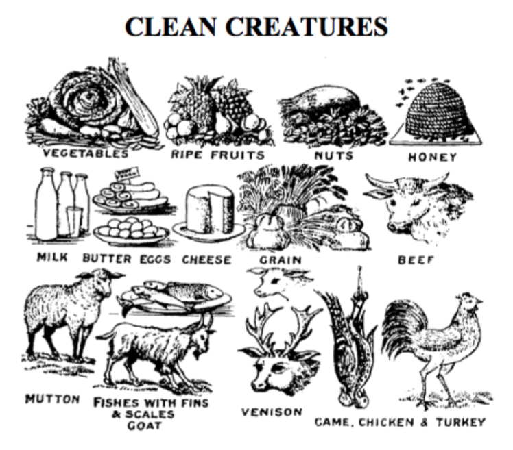 the-law-of-clean-and-unclean-creatures-scripture-truth-ministries