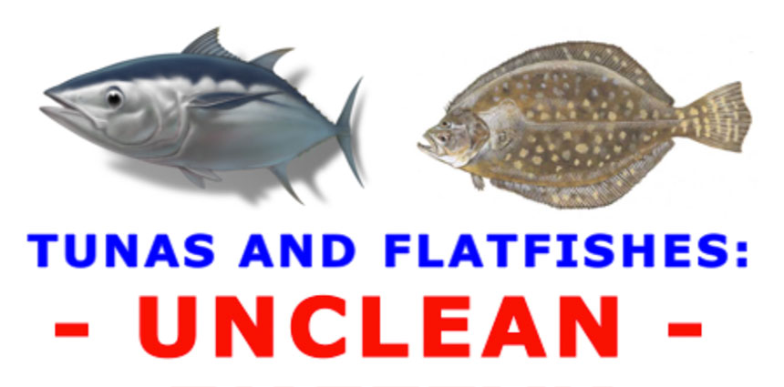 TUNAS AND FLATFISHES: UNCLEAN – Scripture Truth Ministries