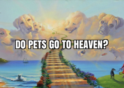 DO PETS GO TO HEAVEN?