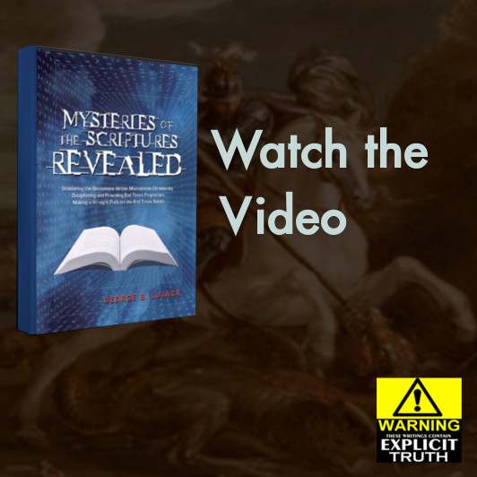 promotional for book-1-532×532